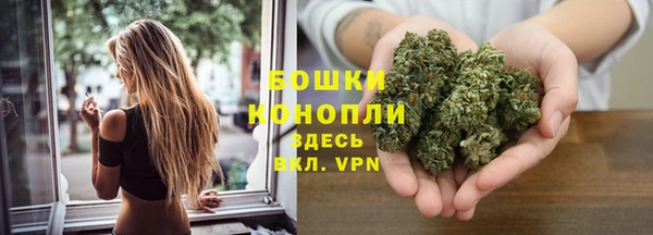 винт Лиски