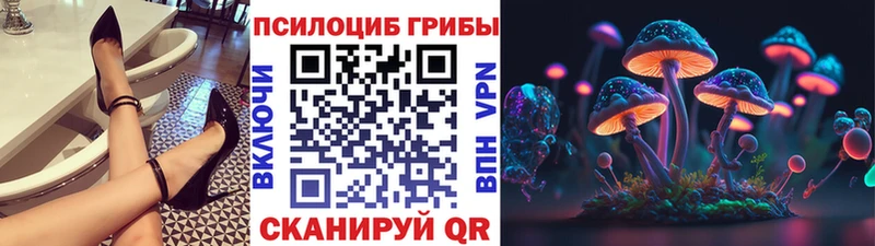 Купить закладки Тамбов Псилоцибиновые грибы GOLDEN TEACHER